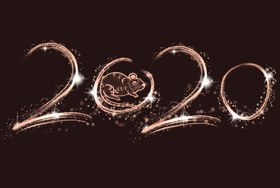 2020 Chinese Spring Festival Holiday